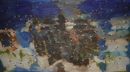 th_06_2007